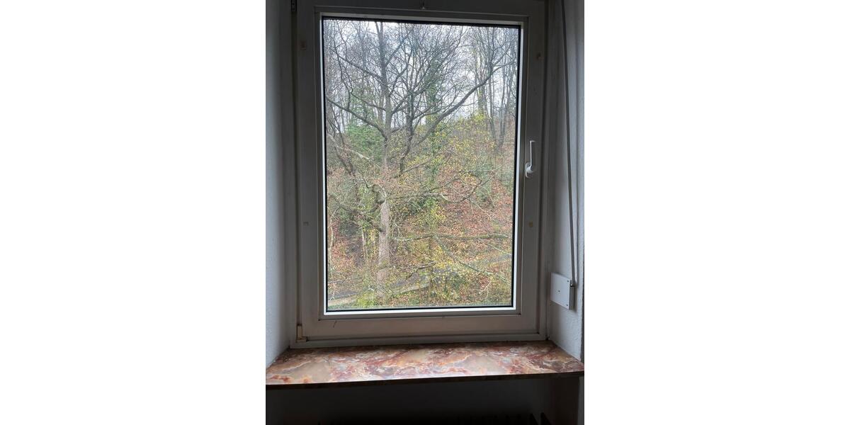 Etagenwohnung Iserlohn Grüne - 2 Zimmer, 52 m&sup2;, 420&euro; | Angebot:25935346