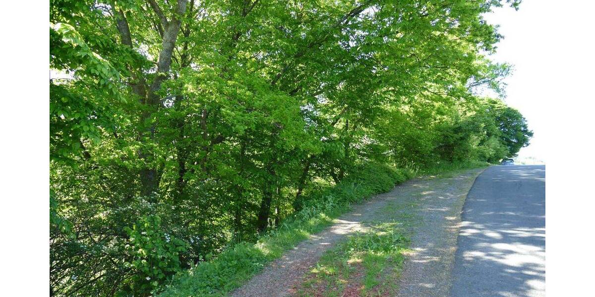 Grundstück Plettenberg - 139.000&euro; | Angebot:25699362