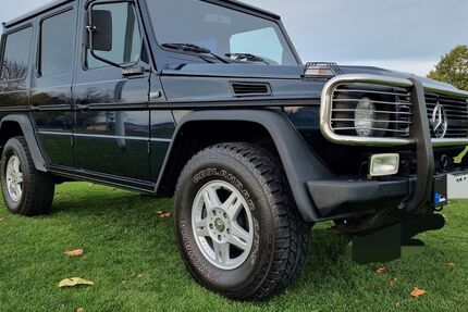 Mercedes-Benz G 290 205.000 km 65.900 &euro; Lünen 44534