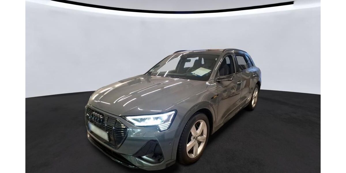 Audi e-tron 58.694 km 36.090 &euro; Hagen 58091