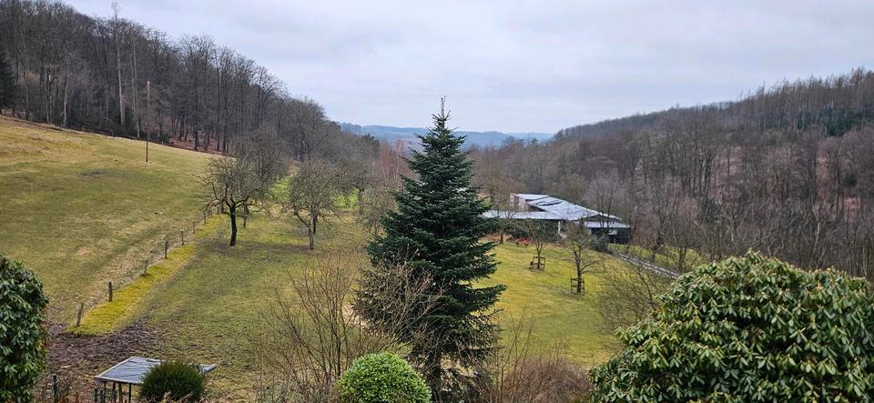 Etagenwohnung Lüdenscheid Othlinghausen - 4 Zimmer, 108 m&sup2;, 320.000&euro; | Angebot:26040238