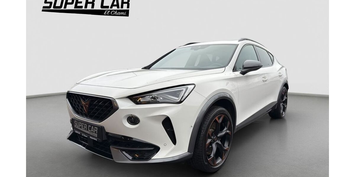 Cupra Formentor 79.000 km 29.500 &euro; Plettenberg 58840