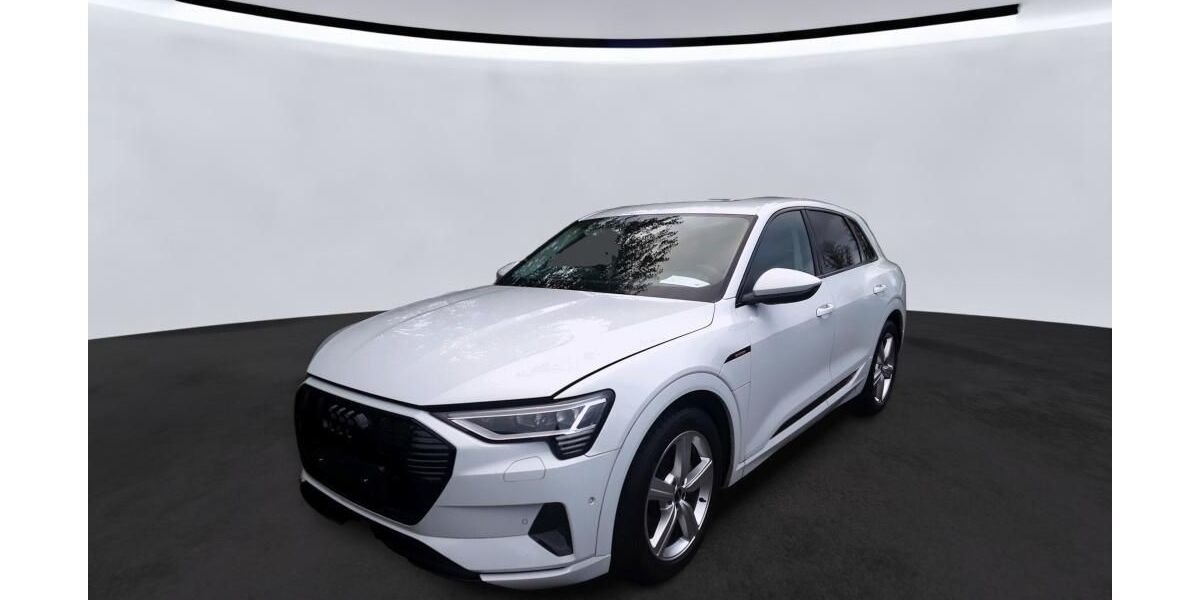 Audi e-tron 26.191 km 28.875 &euro; Hagen 58091