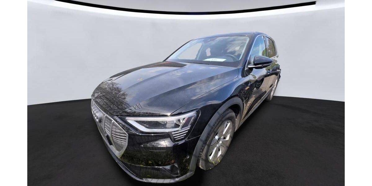 Audi e-tron 47.512 km 32.925 &euro; Hagen 58091