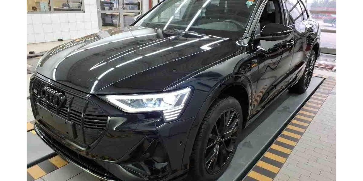 Audi e-tron 41.995 km 39.030 &euro; Hagen 58091