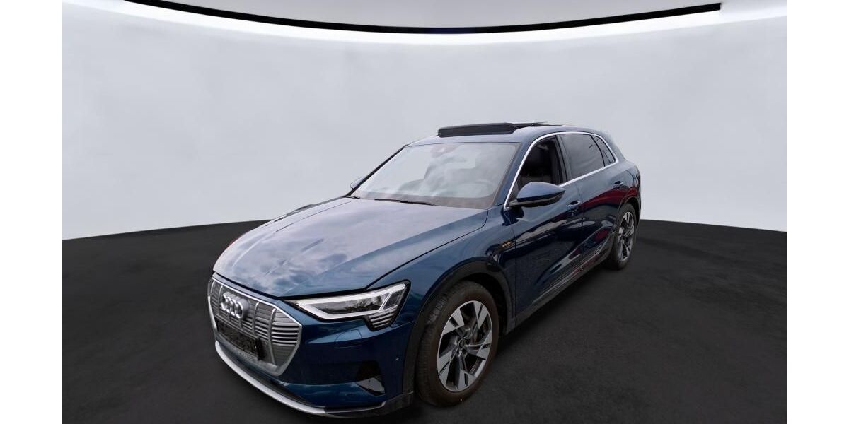 Audi e-tron 31.424 km 31.425 &euro; Hagen 58091