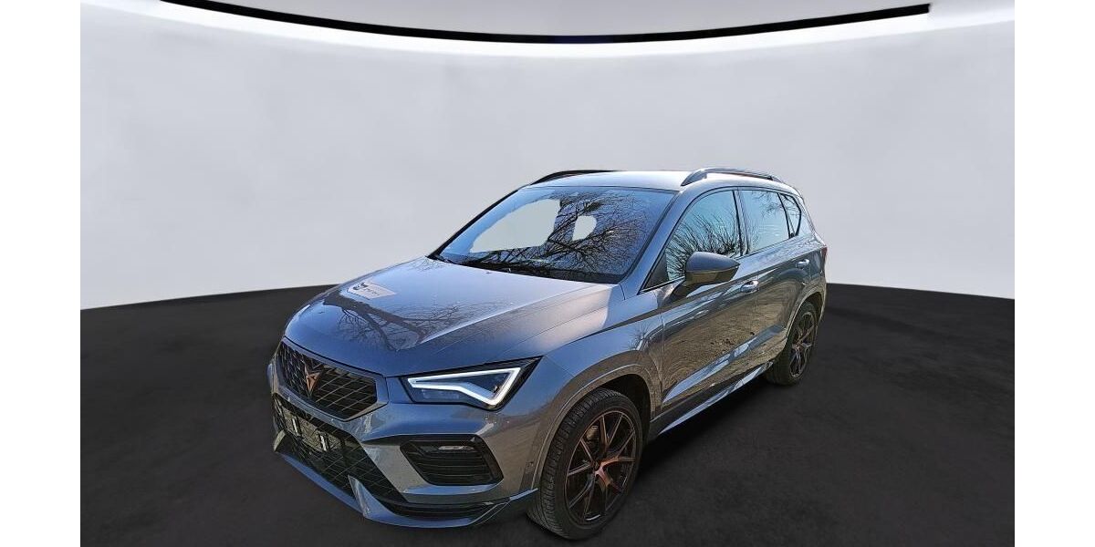 Cupra Ateca 74.113 km 28.855 &euro; Hagen 58091
