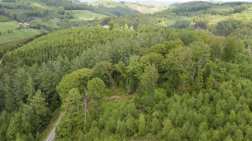 Grundstück Lüdenscheid Augustenthal - 414.000&euro; | Angebot:25986619