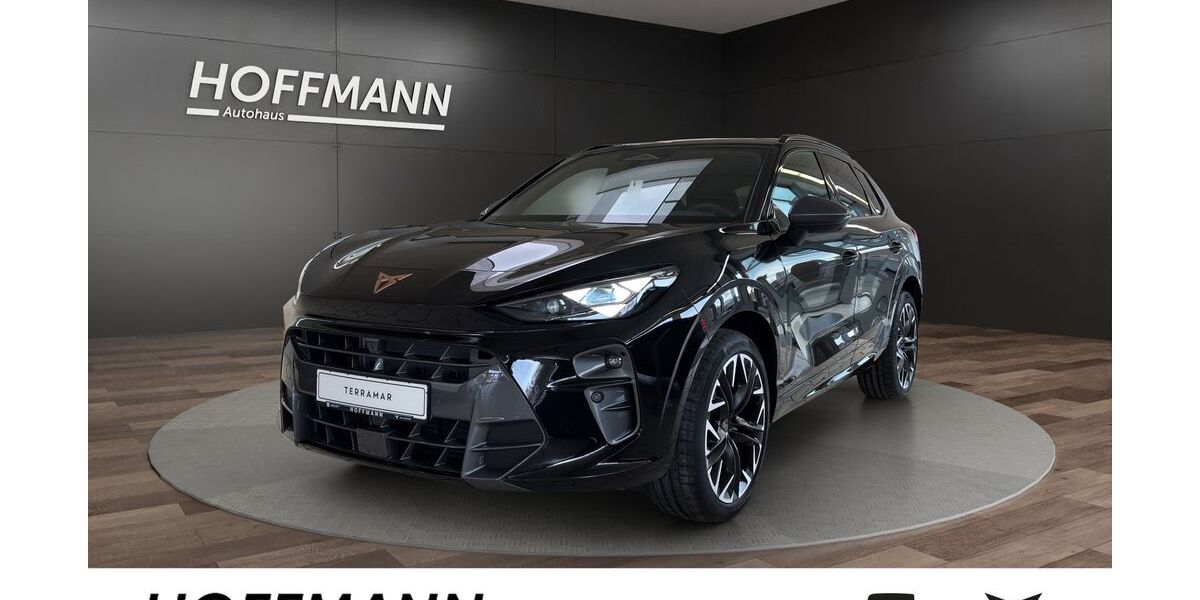 Cupra Terramar 12.000 km 45.950 &euro; Sundern 59846