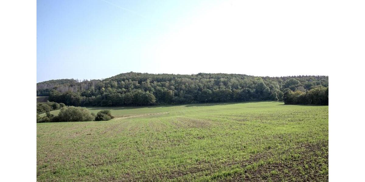 Etagenwohnung Hemer - 3 Zimmer, 61 m&sup2;, 459&euro; | Angebot:25552145