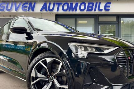 Audi e-tron 66.600 km 38.880 &euro; Hagen 58093