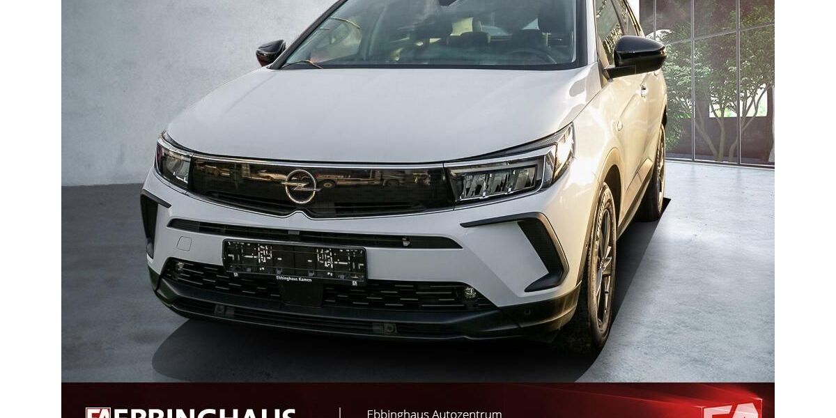 Opel Grandland (X) 51.397 km 17.699 &euro; Dortmund 44149