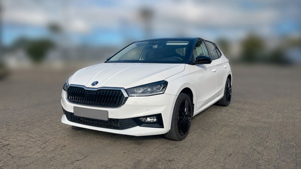 Skoda Fabia 11.100 km 19.490 &euro; Arnsberg 59759