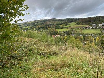 WOHNEN MIT TRAUMHAFTEN AUSBLICK - Grundstück Balve | Angebot:27244918