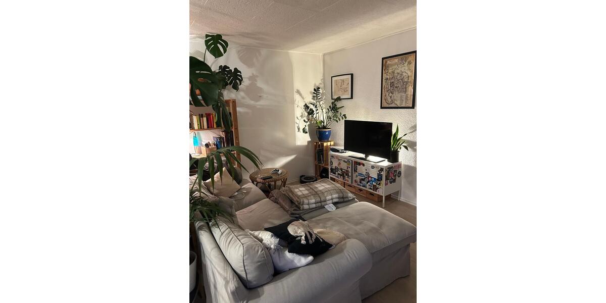 Etagenwohnung Dortmund Hörde - 2 Zimmer, 70 m&sup2;, 700&euro; | Angebot:25570069