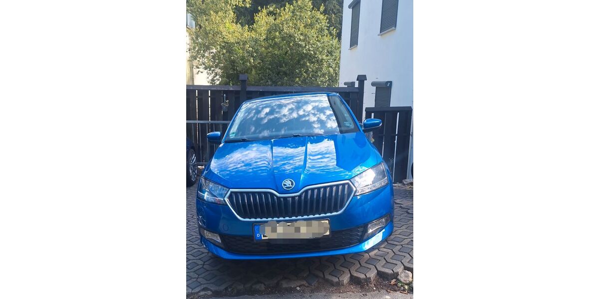 Skoda Fabia 81.118 km 14.100 &euro; Wetter 58300