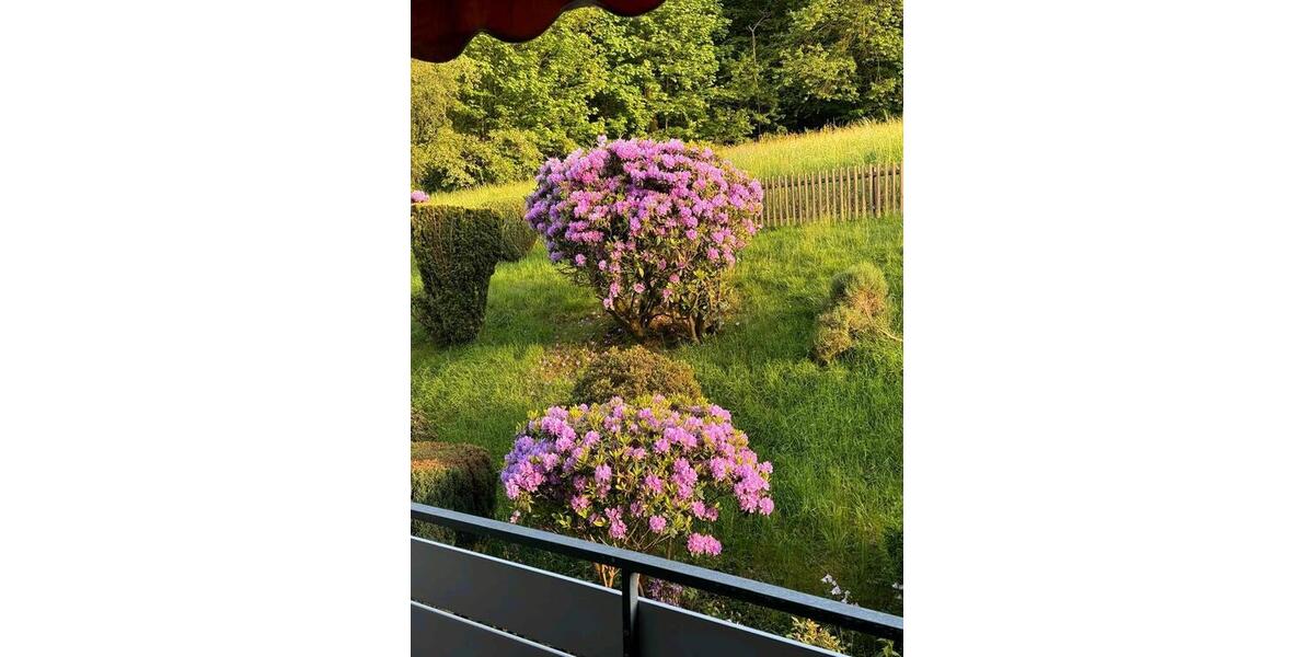 Etagenwohnung Altena - 3 Zimmer, 81 m&sup2;, 680&euro; | Angebot:25131721