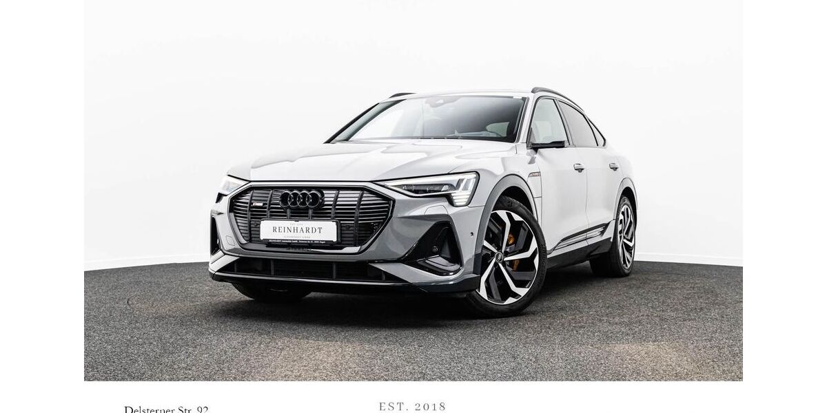Audi e-tron 160.592 km 29.935 &euro; Hagen 58091