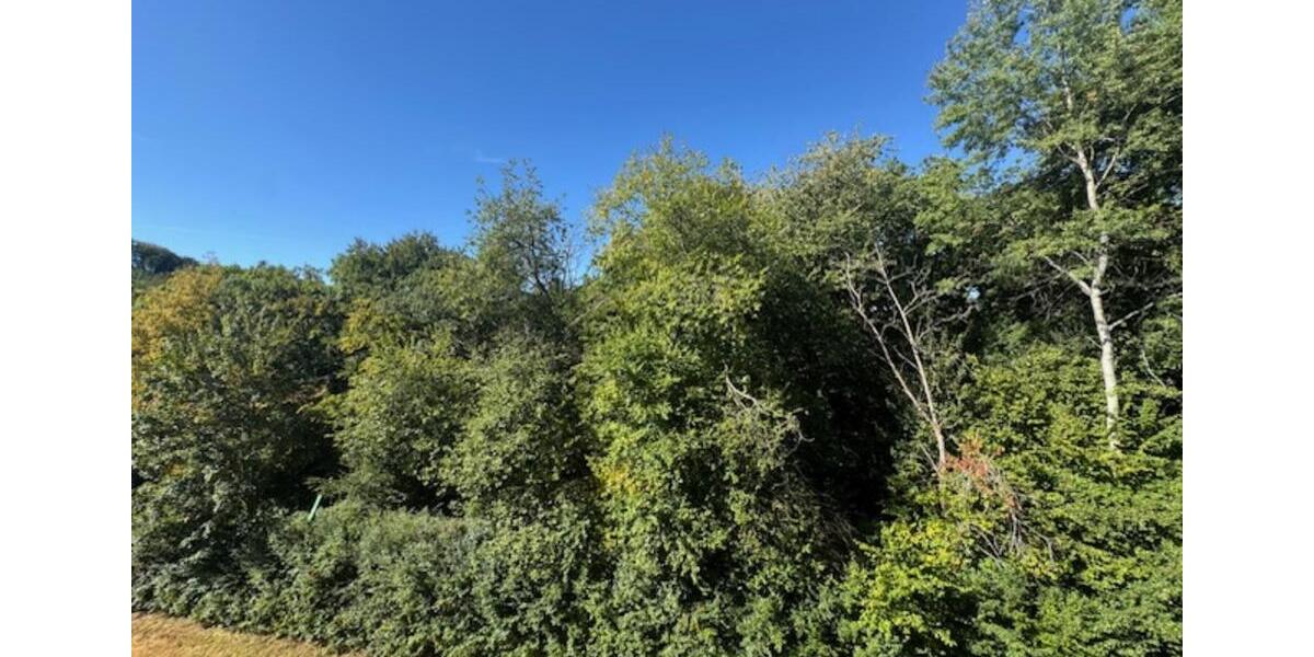 Etagenwohnung Plettenberg - 3 Zimmer, 72 m&sup2;, 500&euro; | Angebot:25920247