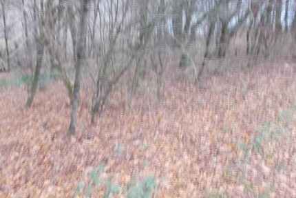 Baugrundstück in Werdohl sehr interessant für Investoren - Grundstück Werdohl | Angebot:19802536