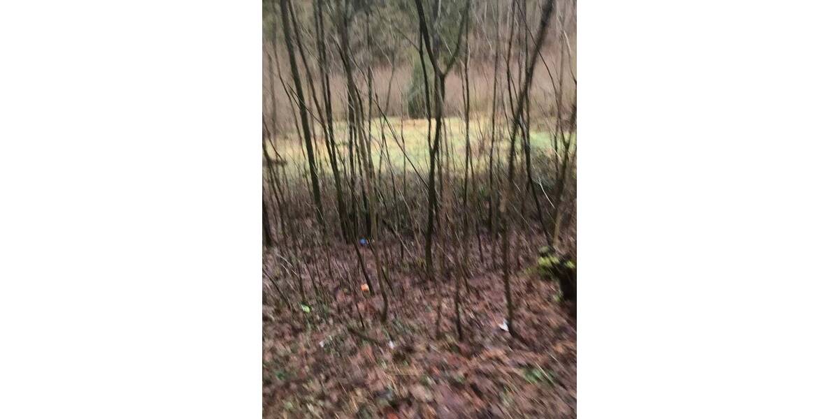 Grundstück Werdohl - 220.000&euro; | Angebot:25660783