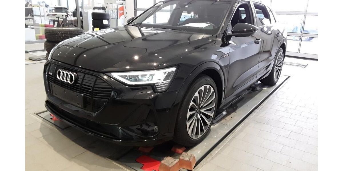 Audi e-tron 72.919 km 35.875 &euro; Hagen 58091