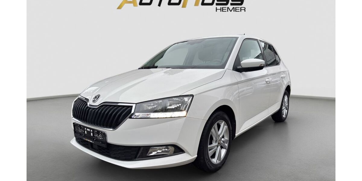 Skoda Fabia 64.960 km 10.900 &euro; Hemer 58675