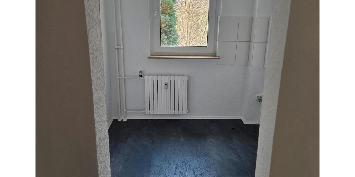 Erdgeschoßwohnung Werdohl - 3 Zimmer, 55 m&sup2;, 330&euro; | Angebot:24572408