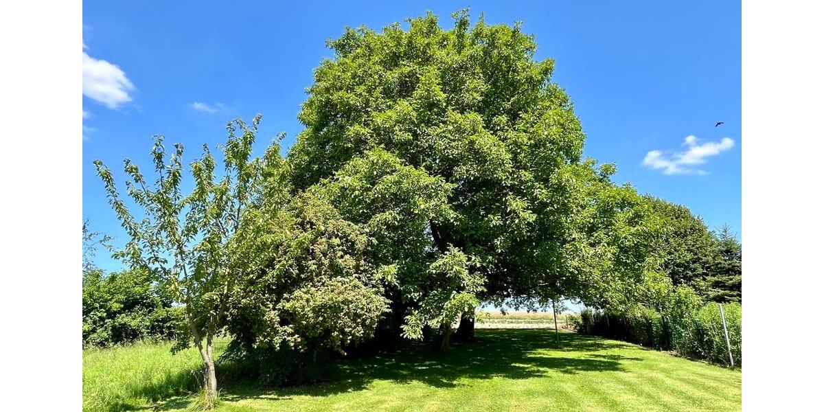 Einfamilienhaus Witten Rüdinghausen - 8 Zimmer, 260 m&sup2;, 1.175.649&euro; | Angebot:19838117