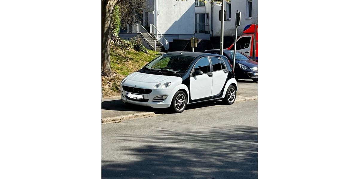 Smart ForFour 171.234 km 2.000 &euro; Wetter 58300