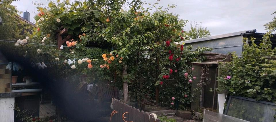 Reihenhaus Lüdenscheid Othlinghausen - 4.5 Zimmer, 148 m&sup2;, 240.000&euro; | Angebot:25612825