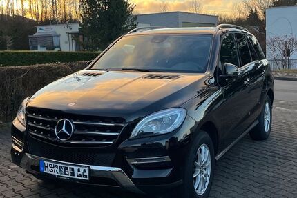 Mercedes-Benz ML 350 169.911 km 20.000 &euro; Arnsberg 59757
