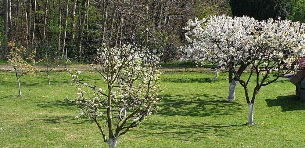 Mehrfamilienhaus, Wohnhaus Hagen Vorhalle - 630.000&euro; | Angebot:25689287