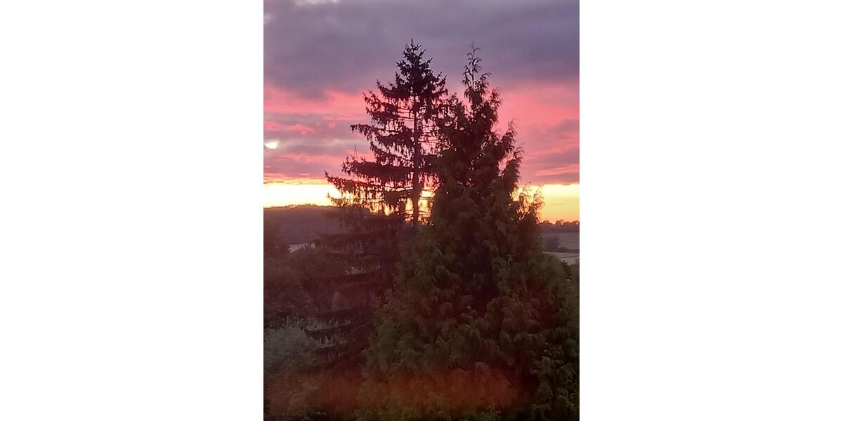 Etagenwohnung Witten Heven - 2.5 Zimmer, 56 m&sup2;, 594&euro; | Angebot:24849020