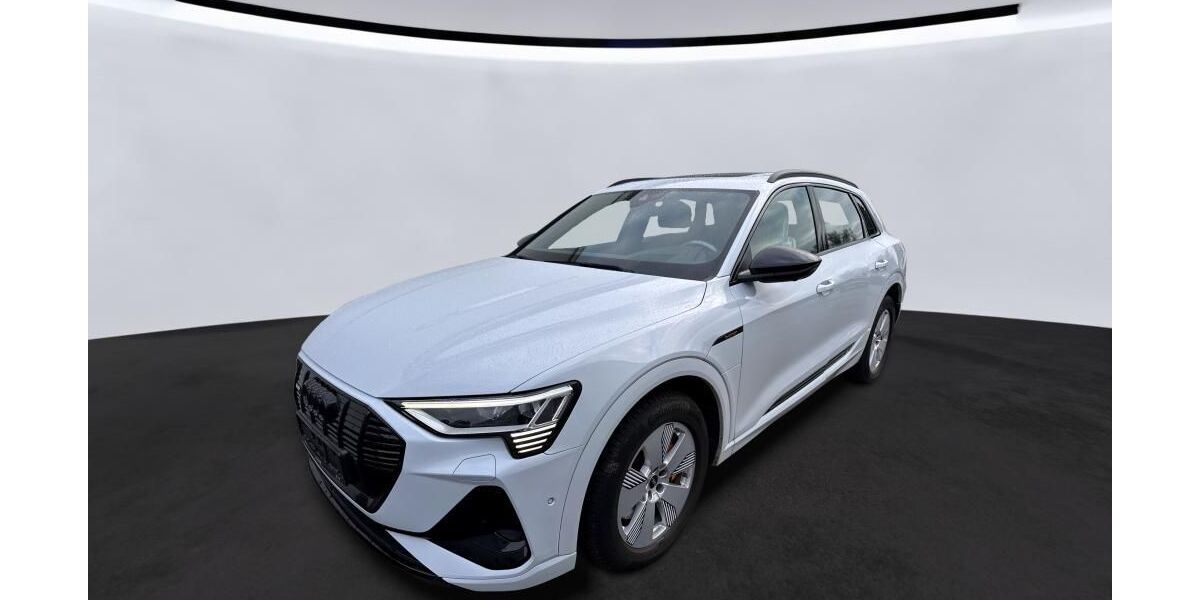 Audi e-tron 69.998 km 38.750 &euro; Hagen 58091