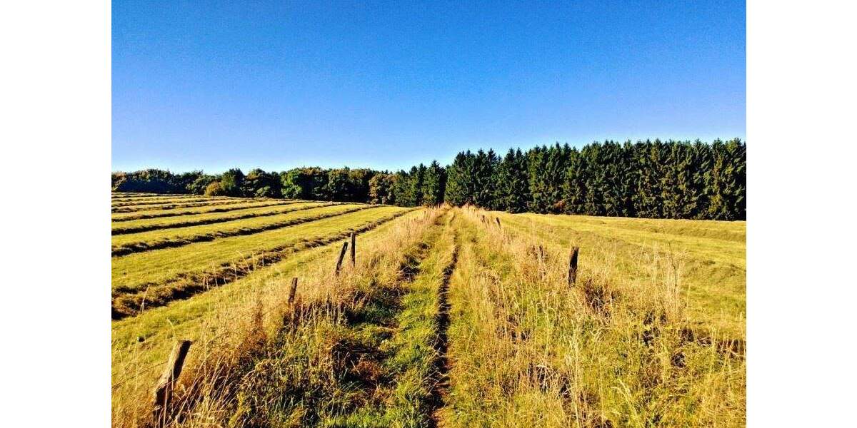 Grundstück Lüdenscheid Othlinghausen - 1.299.000&euro; | Angebot:25678584