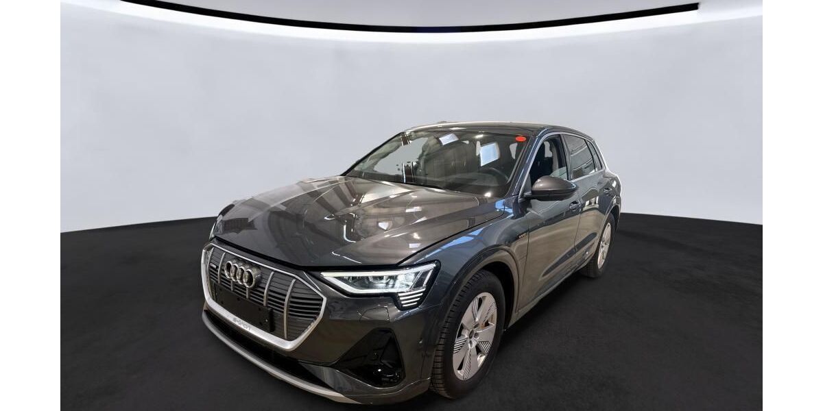 Audi e-tron 66.080 km 35.890 &euro; Hagen 58091