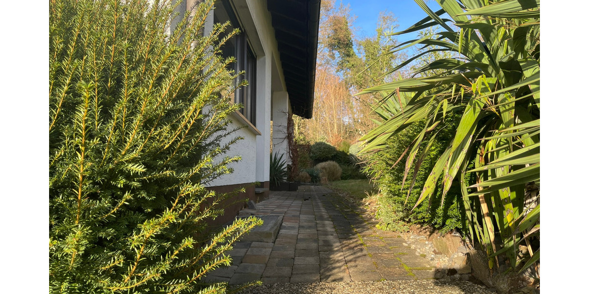 Einfamilienhaus Balve - 1 Zimmer, 243 m&sup2;, 450.000&euro; | Angebot:25703450