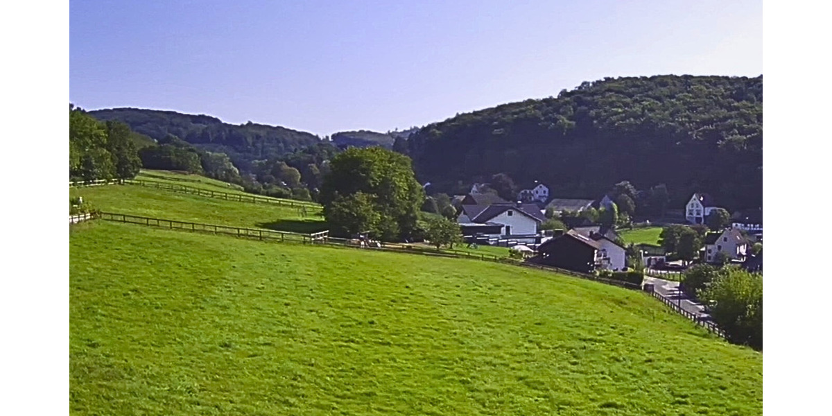 Grundstück Balve Beckum - 99.000&euro; | Angebot:25703442