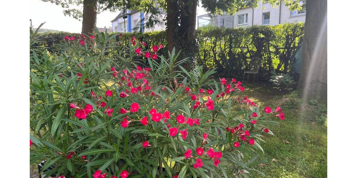 Grundstück Hagen Eilpe - 133.000&euro; | Angebot:25734130