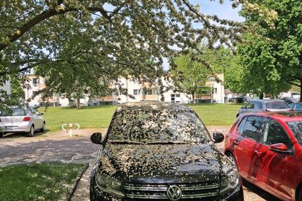 VW Tiguan 150.000 km 7.500 &euro; Dortmund 44369