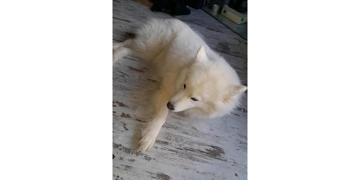 Erdgeschoßwohnung Kierspe - 1.5 Zimmer, 36 m&sup2;, 550&euro; | Angebot:25987343