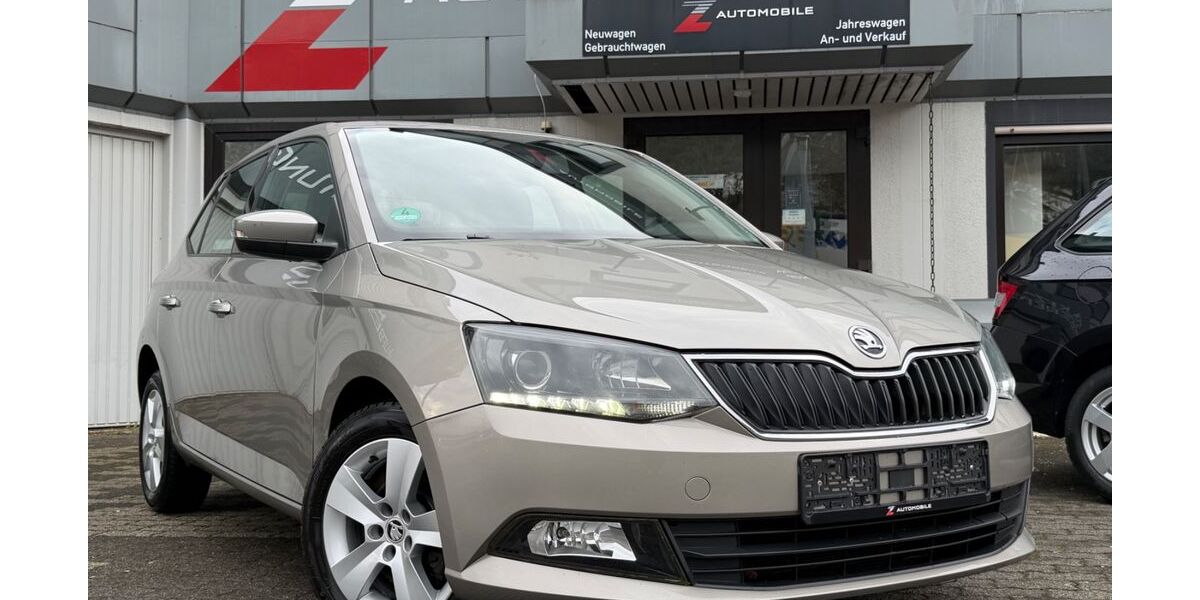 Skoda Fabia 103.000 km 10.790 &euro; Plettenberg 58840