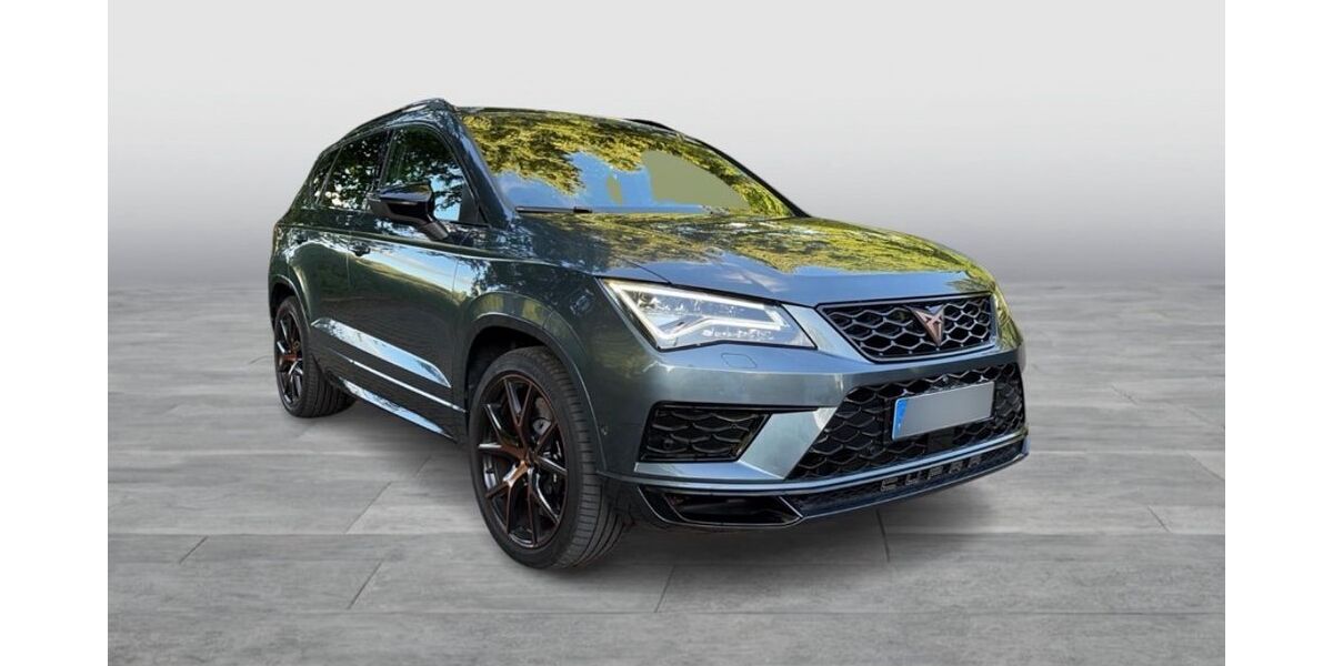 Cupra Ateca 91.600 km 22.999 &euro; Holzwickede 59439