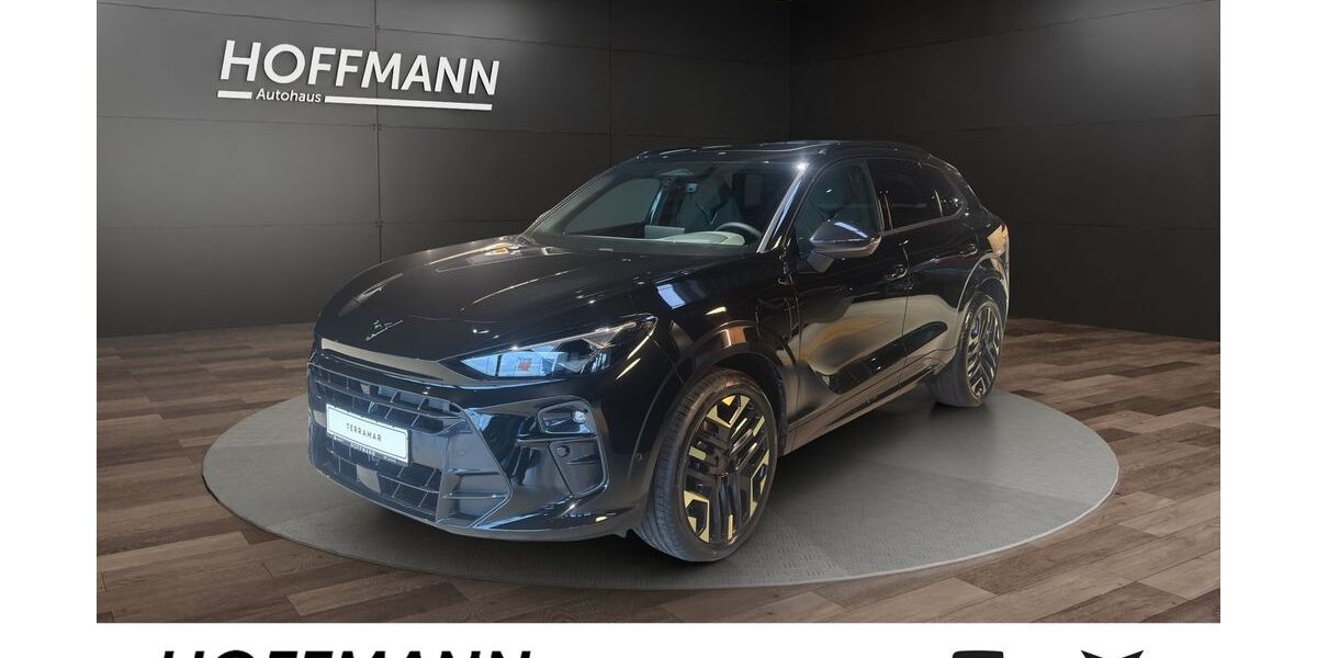 Cupra Terramar 1.500 km 51.990 &euro; Arnsberg 59823