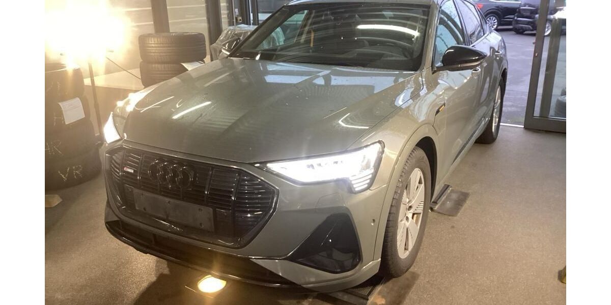 Audi e-tron 137.691 km 33.925 &euro; Hagen 58091