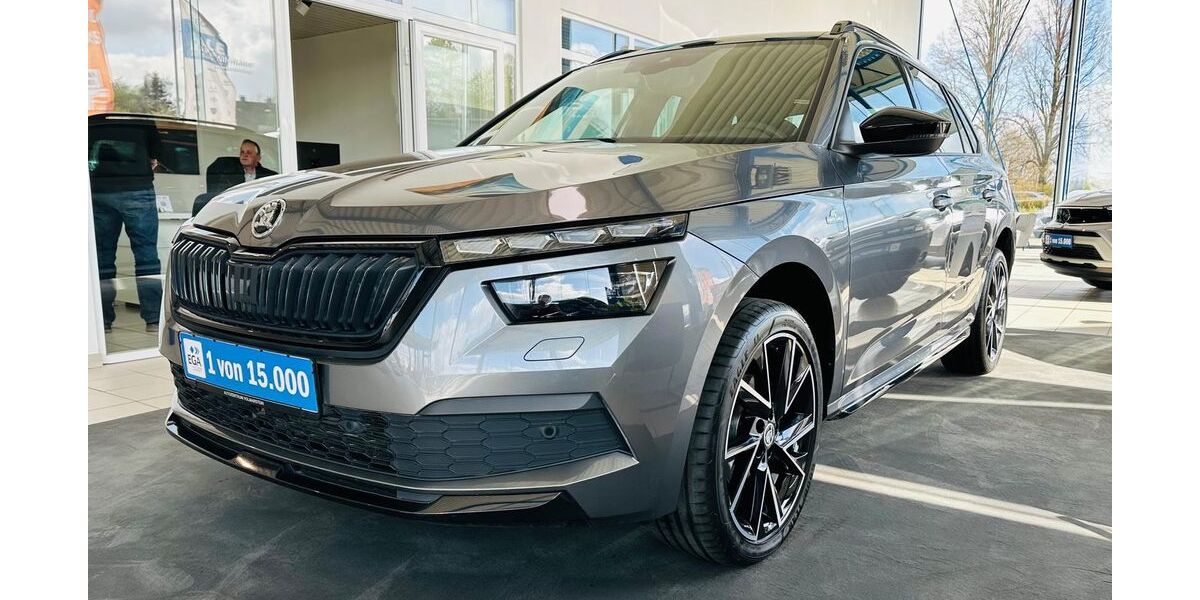 Skoda Kamiq 53.420 km 26.490 &euro; Wetter 58300