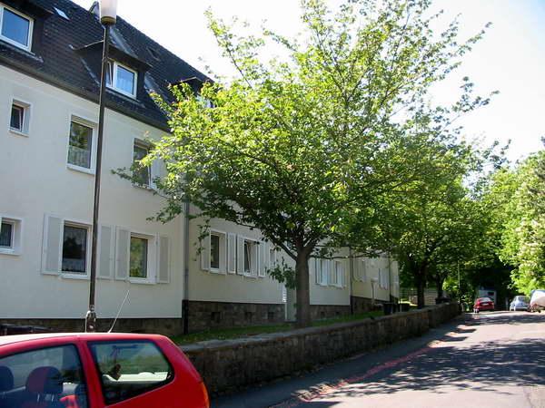 Etagenwohnung Hagen Dahl - 2 Zimmer, 60 m&sup2;, 489&euro; | Angebot:25261758