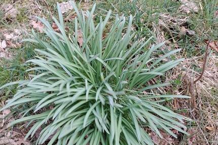 Wohnung Kierspe - 1.5 Zimmer, 36 m&sup2;, 550&euro; | Angebot:25987343