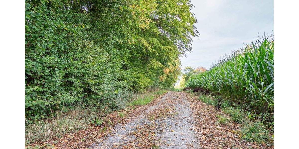 Grundstück Sundern - 99.000&euro; | Angebot:25664462